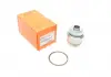 Сайлентблок задньої цапфи BMW X5(E70)/ X6(Е)71/F16) 07- 11BM0420