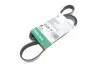 Ремень генератора поликлиновый FB 6PK1560