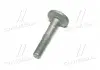 Болт з ексцентриком CTR GC0004 (фото 2)
