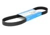 DAYCO Ремень П-клиновой 6PK802 FORD Fiesta VI, Focus II,  III, SUZUKI SX4, VOLVO C30, S40, V50 6PK802