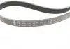 Комплект ремня генератора INA 529 0536 10 (фото 8)