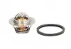 Термостат Ford Fiesta IV/Focus/VW Passat/Polo 1.1-1.6i 73- (92 C) (jiggle-pin) 202-92JK