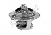 Термостат Ford Fiesta IV/Focus/VW Passat/Polo 1.1-1.6i 73- (92 C) (jiggle-pin) Motorad 202-92JK (фото 2)