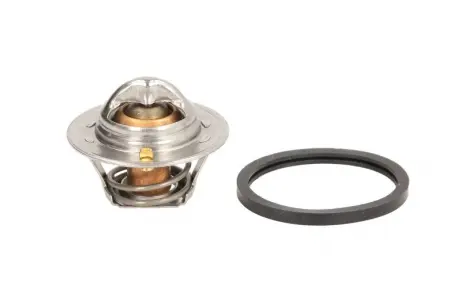 Термостат Ford Fiesta IV/Focus/VW Passat/Polo 1.1-1.6i 73- (92 C) (jiggle-pin) Motorad 202-92JK