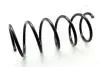 JAPANPARTS EUGEOT Пружина передняя 607 00- ZC3424A
