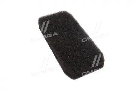 Фото 1 - фільтр салону PREMIUM DAF TRUCKS LF45, LF55 RIDER RD 257L Фільтр салону PREMIUM DAF TRUCKS LF45, LF55 RIDER RD 257L (фото 1)