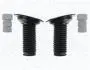 TOYOTA Защита аморт.передн.к-кт RAV-4 00- MAGNETI MARELLI 310116110177 (фото 1)