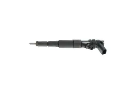Распылитель BOSCH 0445110216