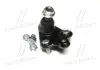 Опора шаровая нижняя Toyota Prius 03- Matrix 03-05 (выр-во CTR) CB0411