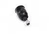 Опора шаровая нижняя Honda Accord 03-08 (выр-во CTR) CB0118