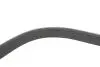 RENAULT Ремень поликлиновый (Elastic) DUSTER 1.6 15-, MEGANE IV 1.6 15- DAYCO 7PK1051EE (фото 3)