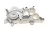 Комплект газорозподільчого механізму Contitech CT1167WP3PRO (фото 12)
