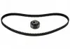 FEBI ГРМ  (рем.+ ролик)  Citroen Berlingo 1.4 , Xara,Saxo,Ax,Bx,Zx 11242