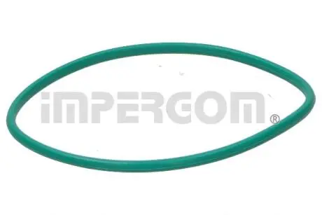 Ущільнення паливної системи IMPERGOM 25200