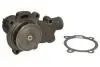 Насос охолоджуючої рідини THERMOTEC WPCA109 (фото 1)