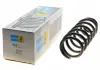 Пружина BILSTEIN 36-294459 (фото 1)