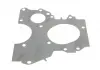 Прокладка натяжника ланцюга ГРМ Ford Connect 1.8 TDCi 02-13 DP ES 81012 ARI (фото 2)