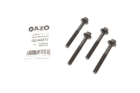 Болт кріплення форсунки Renault Kangoo/Laguna III/Megane 1.5 dCi 02- (к-кт) GAZO GZ-A2273 (фото 1)