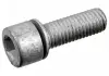 Болт муфти Haldex(з внутрішнім шестигранним шліцем) 177755