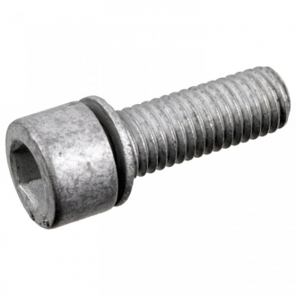 Болт муфти Haldex(з внутрішнім шестигранним шліцем) FEBI 177755 (фото 1)