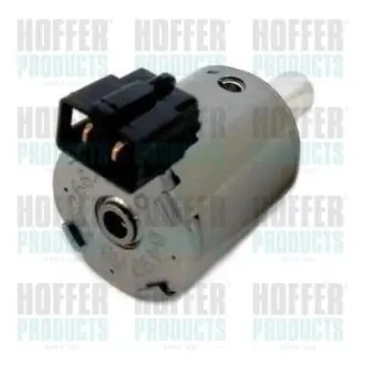 Клапан управління тиском Hoffer 8091520
