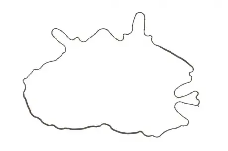 Прокладкa VICTOR REINZ 713898200