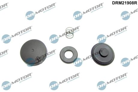 Комплект прокладок з різних матеріалів DR MOTOR DRM21908R
