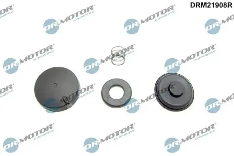 Комплект прокладок з різних матеріалів DR MOTOR DRM21908R