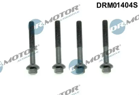Комплект болтів двигуна з шестигранною головкою DR MOTOR DRM01404S