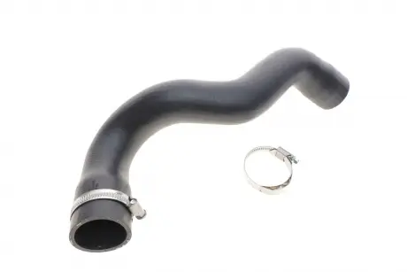 Фото 1 - впускна труба BOGAP A1711121 Впускна труба BOGAP A1711121 (фото 1)