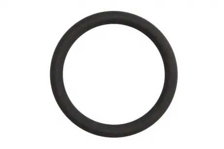 Ущільнювальне кільце ELRING 199.310 (фото 1)