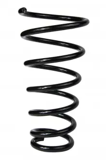 Пружина задньої підвіски Hyundai Tucson/Kia Sportage 04-10 Raiso SR060TP