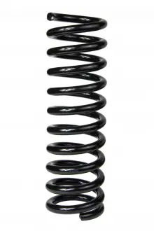 Пружина задня MB W124 -95 (343*14*104,5) Raiso SR001TP (фото 1)