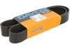 Доріжковий пас DAYCO 10PK1155HD (фото 1)