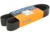 Ремень DAYCO 10PK1155HD (фото 1)