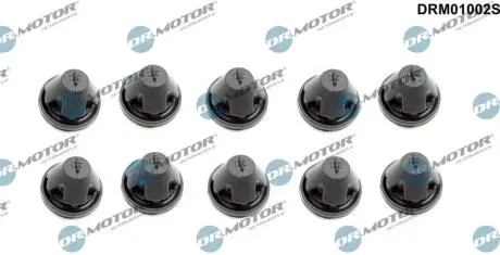 Комплект прокладок гумових DR MOTOR DRM01002S
