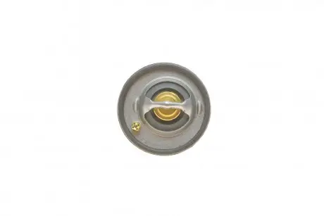 Термостат FORD 96MM8575A1A