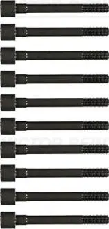 Комплект болтов VICTOR REINZ 14-55051-01