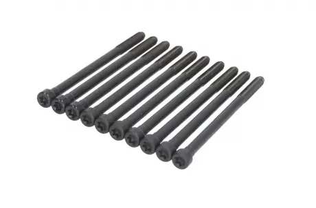 Комплект болтов VICTOR REINZ 14-10276-01