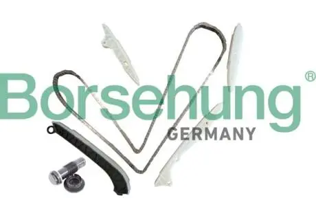 Комплект ланцюга ГРМ Borsehung B10238 (фото 1)