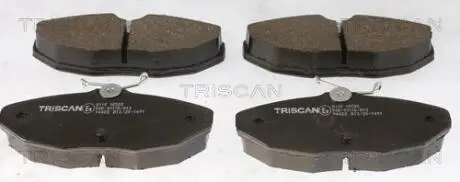 Колодки гальмівні задні TRISCAN 8110 10580 (фото 1)