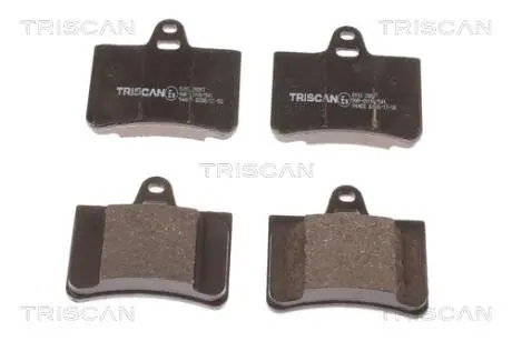 Колодки гальмівні задні TRISCAN 8110 28017