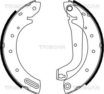 Комлект тормозных накладок TRISCAN 8100 14596