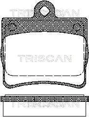 Колодки гальмівні задні TRISCAN 8110 23016 (фото 1)