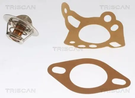Термостат TRISCAN 8620 11088