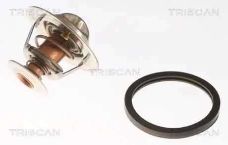 Термостат TRISCAN 8620 5582