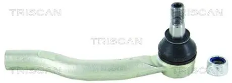 Наконечник зовнішній TRISCAN 8500 14137