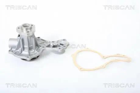 Насос водяний TRISCAN 8600 29005
