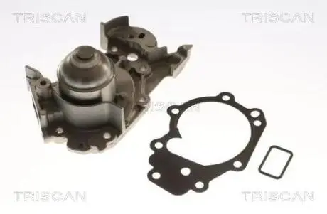 Насос TRISCAN 8600 25013