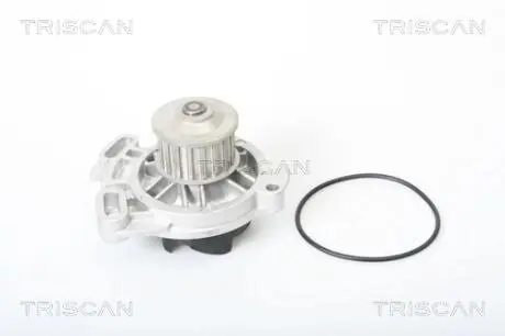Насос TRISCAN 8600 29960